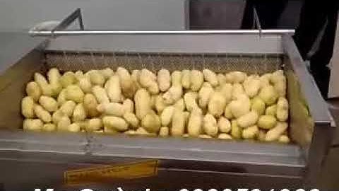 Máy rửa củ quả các loại, máy rửa khoai tây, khoai lang, máy rửa củ khoai sọ