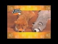 Crazy Critters - For Dogs - Commercial As Seen On TV Crazy Critters - For Dogs - Commercial As Seen On TV
