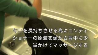 Chien Mechant S&R VIDEO Japanese (2014/11)