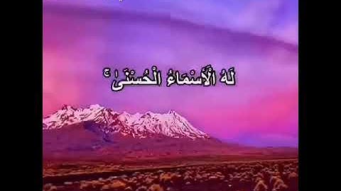 تلاوة خاشعة من سورة الحشر بصوت جميل