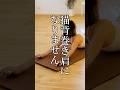 猫背巻き肩完全解消 #ヨガ #肩こり #首こり