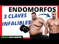 ENDOMORFO 🩺 ¿Qué debe COMER?  ¿Cómo ENTRENAR? ¿Qué es lo que realmente le hace BAJAR de PESO?