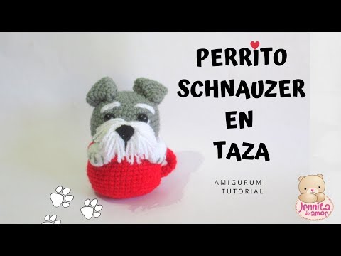 Video: Taza de té Yorkies vs. Taza de té Chihuahua