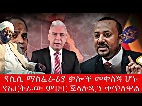 የሲሲ ማስፈራሪያ ቃሎች መቀለጃ ሆኑየኤርትራው ምሁር ጀላሉዲን ቀጥለዋል