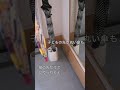 雨の日だけ登場！コンパクトな傘立て #shorts