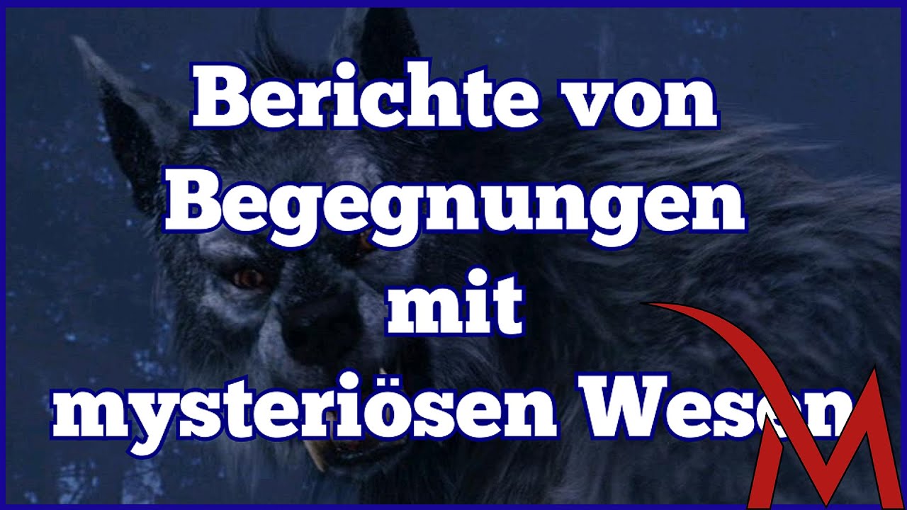 Der Grundschultest - Welche Schulempfehlung erhältst du?