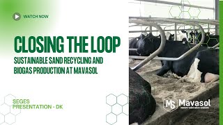 Closing the Loop: Sustainable Sand Recycling and Biogas Production at Mavasol