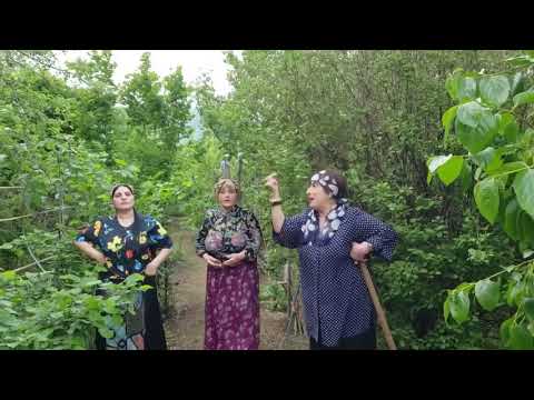 კოლხური ტრიო - არამი დო შარიქა