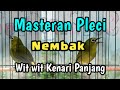 masteran pleci nembak wit wit kenari panjang