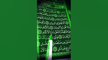 احترام القرآن  المدة 59 ثانية فقط #سورة_الرحمن #ماهر_المعيقلي #quran #القران #shortvideo
