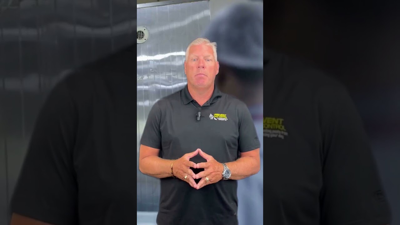 Which Areas in a Restaurant Should You Inspect Regularly for Pest Activity?