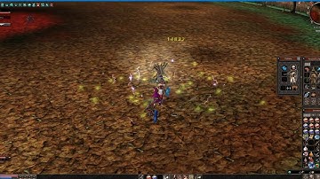 Metin 2 Ruby Kirin Shamy lvl 55 vs Sura lvl 5 Champion