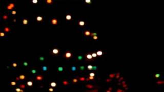 06 xmas lights (family)
