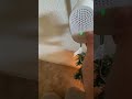 Tapo Video Doorbell And Chime 