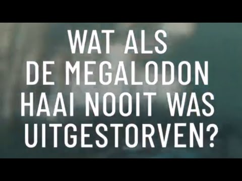 Video: De Megalodon-haai Is Niet Uitgestorven - Alternatieve Mening