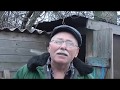 николаевские голуби Кулебовка г.Новомосковск голуби Кудлай АлександраDSCN5622