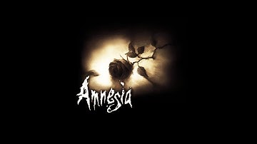 Amnesia Collection | Let