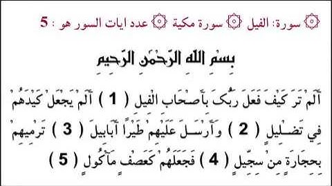 القارئ الزين محمد أحمد سورة الفيل