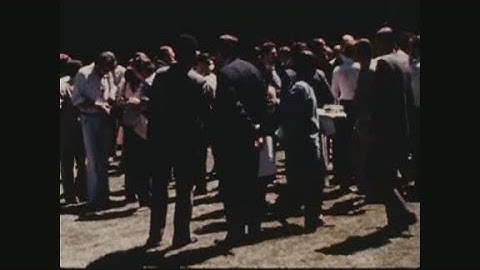 News Item (2032a741-175a-9946-084d-fcd7cc6c09c1)