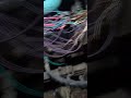 Wiring #automobile #mechancial #shortvideo #mecanic #electrical