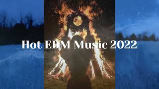 EDM & Electro House Dance Mix 2022/Music in The Car 2022