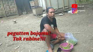 Story' WA lucu Agus tebaru 2020 bahasa Jawa bikin ketawa