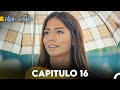 Pájaro soñador - Capitulo 16 (Audio Español) | Erkenci Kuş