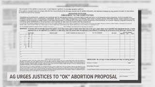 Attorney General Nessel files brief supporting abortion access on the ballot