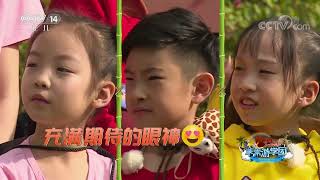 《动感特区》 20200604 非常游学团|CCTV少儿