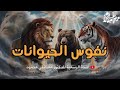 نفوس الحيوانات اسرار تسمعها لأول مره عن الحيوانات الدكتور مصطفي محمود