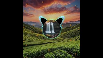 Scenario | A Music video