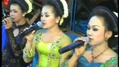 SLENDANG BIRU,by.Campursari Tokek Sekarmayang(call:+628122598859)