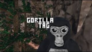 Pro Joins Random Gorilla Tag Lobbies!