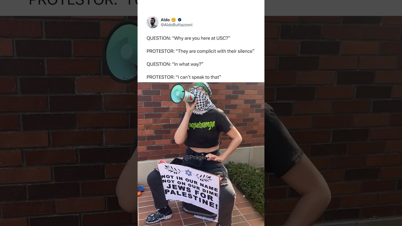 The self-importance 🫠