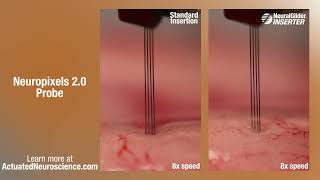 NeuralGlider Neuropixels 2.0 Probe Comparison