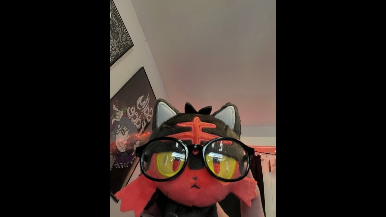 Quotamaxxer attempts