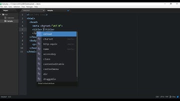 ATOM Text Editor