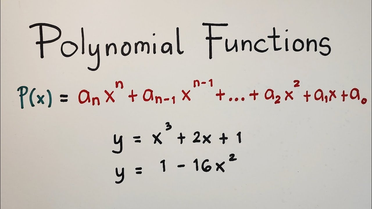 Polynomial Definition, Types, Degree, Operations Examples, 51 OFF