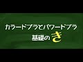 チームぱくチャンネル　【エコー攻略ガイド】　基礎から応用まで全て分かる！　              超番外編篇  （カラードプラとパワードプラ）