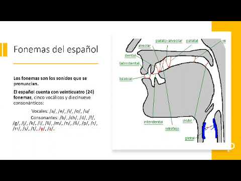 Video: ¿Qué es el continuo fonológico?