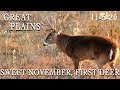 Great Plains | Target Bucks In Bow Range, Decoy Action