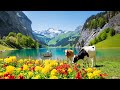 Seealpsee 4k  most beautiful places to visit in switzerland  beautiful natural landscape