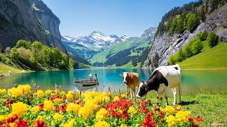 Seealpsee 4K  Most Beautiful Places to Visit in Switzerland  Beautiful Natural Landscape