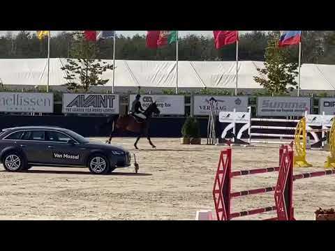 Niara CSIYH 7 yo Peelbergen 2nd place
