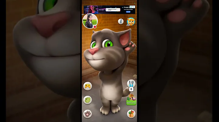 Video 10704171: dancing sphynx cat, sphynx cat living, meowing cats fighting, meowing cat cartoon funny, cat funny play fighting, cat fight funny cute, cat sleeping cute funny