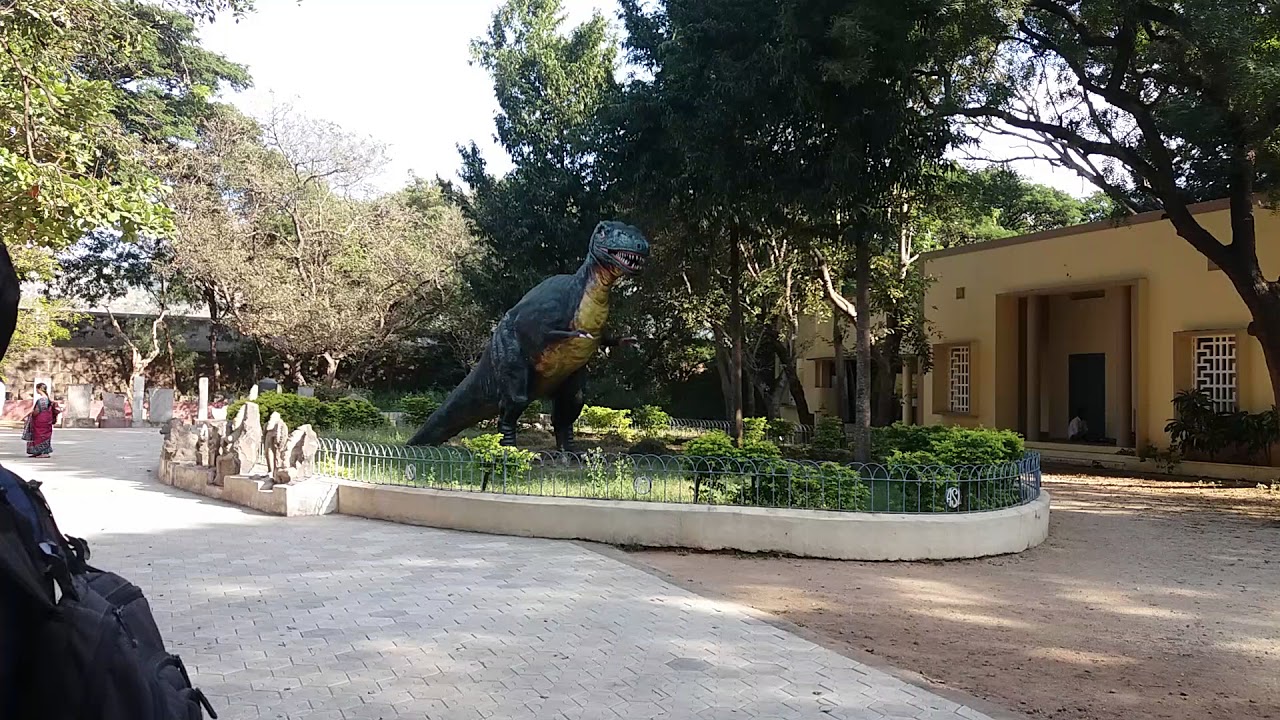 Vellore government museum