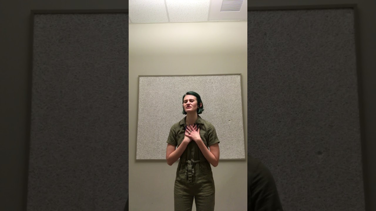 This Happened Once at the Romance Depot off I-85 in Westchester