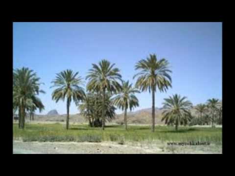 شعرۓ شه ملا بهادر