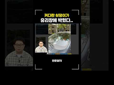 #2811. 누가 책임져야할까 #shorts