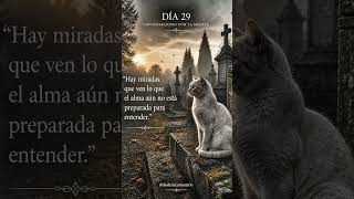 Dia 29 de 365 #muerte #cementerio #gato #amanecer #frases #gotica #dark #reflexion #tristeza